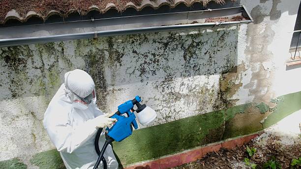 Top rated local Commercial Mold Remediation specialists in Loretto, PA